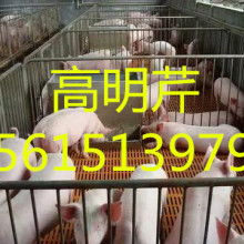 山東農副產品購銷處 推動農副產品銷售的高效平臺