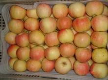 嘎啦蘋果高清圖片與運城市農副產品銷售公司介紹