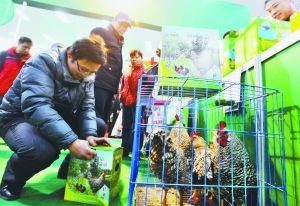 農副產品直銷展銷會 800多種產品引近萬市民“血拼”