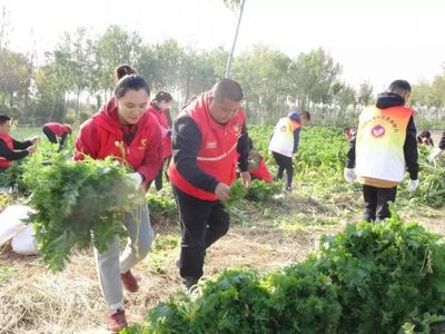 希望的田野 青春助力脫貧攻堅，志愿服務與食品銷售的雙贏之路
