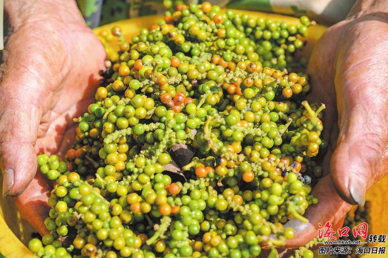 ?？谵r產品品牌化之路 多點開花格局成形，瓊味佳肴香飄四海